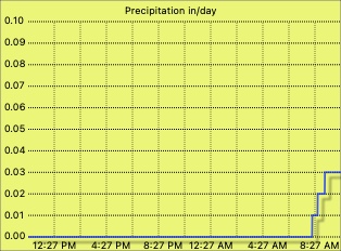 Daily rain graph